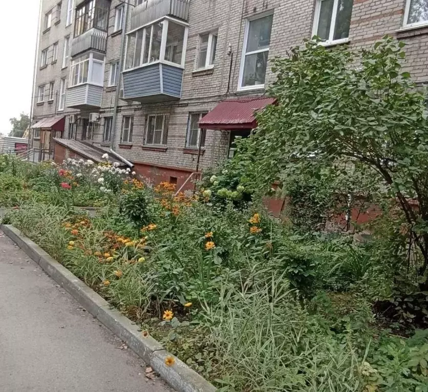 3-к кв. Алтайский край, Барнаул Молодежная ул., 23 (55.0 м) - Фото 2