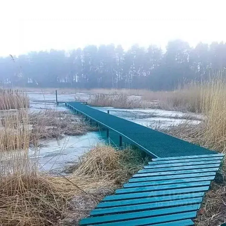 Коттедж в Ленинградская область, Выборгский район, Селезневское с/пос, ... - Фото 2