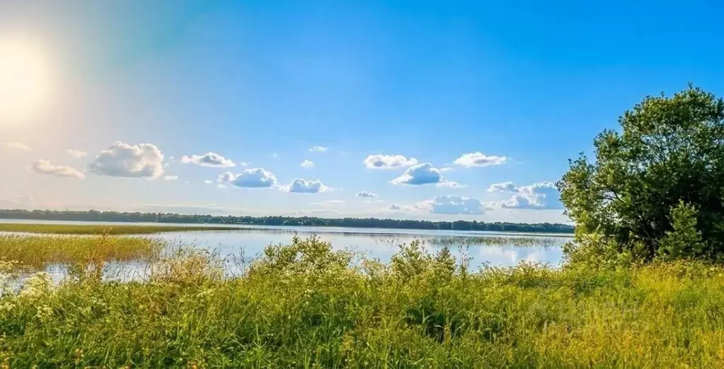 Участок в Новгородская область, Мошенской муниципальный округ, д. ... - Фото 2