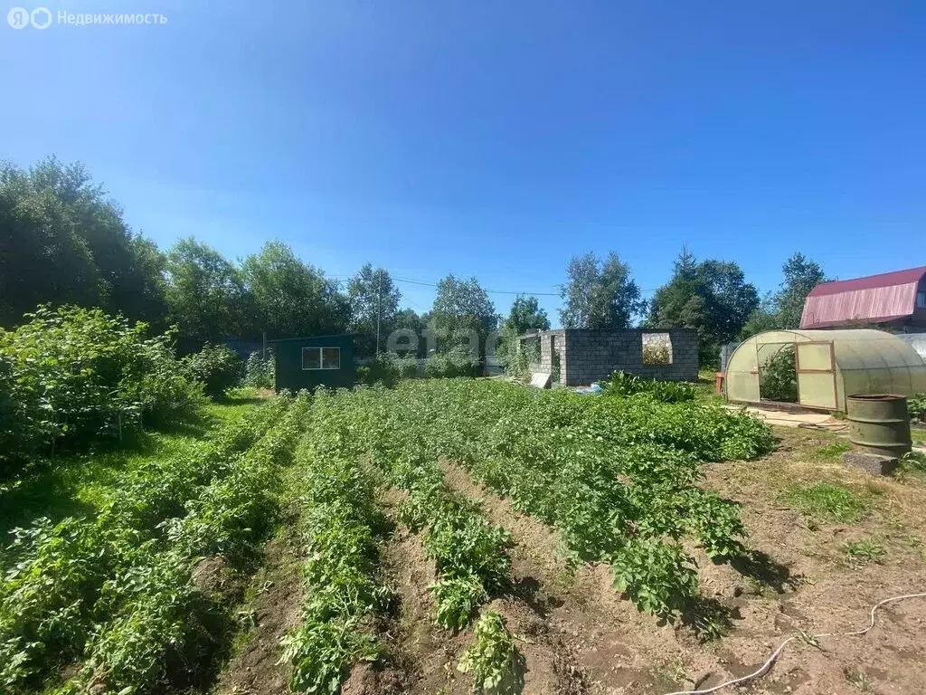 Участок в Елизово, СНТ Дубрава-2 (5 м) - Фото 0