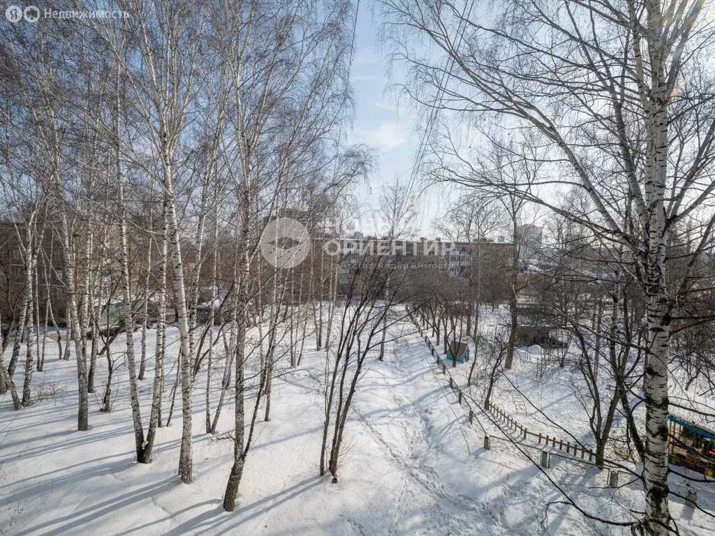 1-комнатная квартира: Екатеринбург, жилой район Вторчермет, Палисадная ... - Фото 2