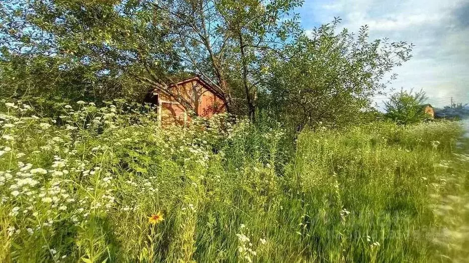 Дом в Брянская область, Брянский район, Снежское с/пос, с. Толмачево, ... - Фото 0