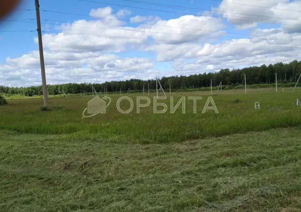 Участок в Тюменская область, Тюменский муниципальный округ, д. ... - Фото 1