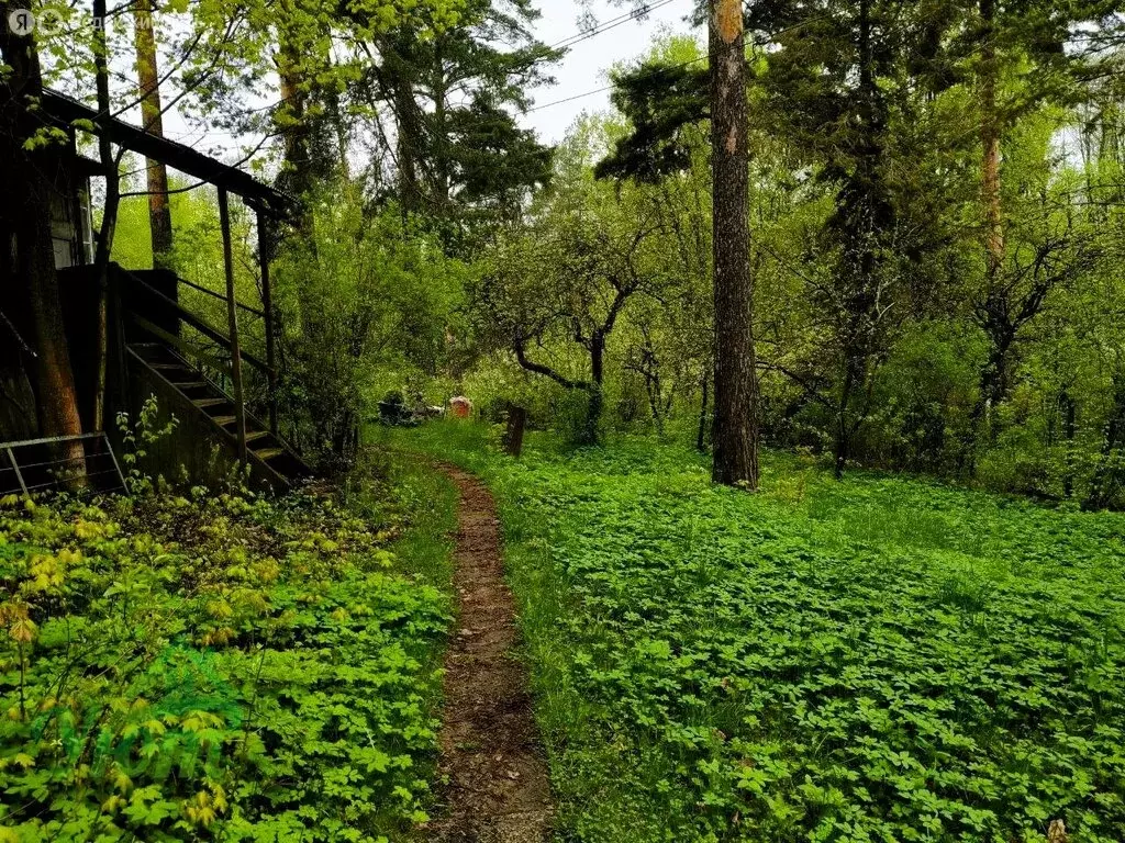 Участок в посёлок городского типа Удельная, Кривоколенная улица, 1 (12 ... - Фото 2