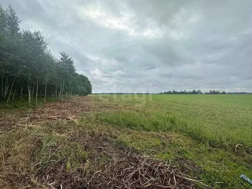 Участок в Санкт-Петербург, Санкт-Петербург, Павловск Павлов Скай кп,  ... - Фото 1