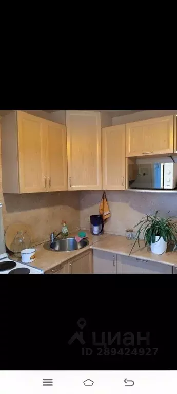 1-к кв. Самарская область, Тольятти ул. Фрунзе, 15 (33.0 м) - Фото 1