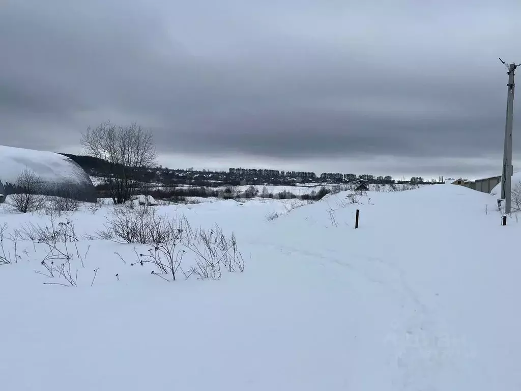 Участок в Мордовия, Лямбирский район, с. Берсеневка ул. Молодежная ... - Фото 0