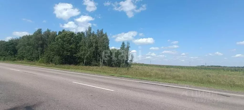 Участок в Брянская область, Жуковский муниципальный округ, с. ... - Фото 1