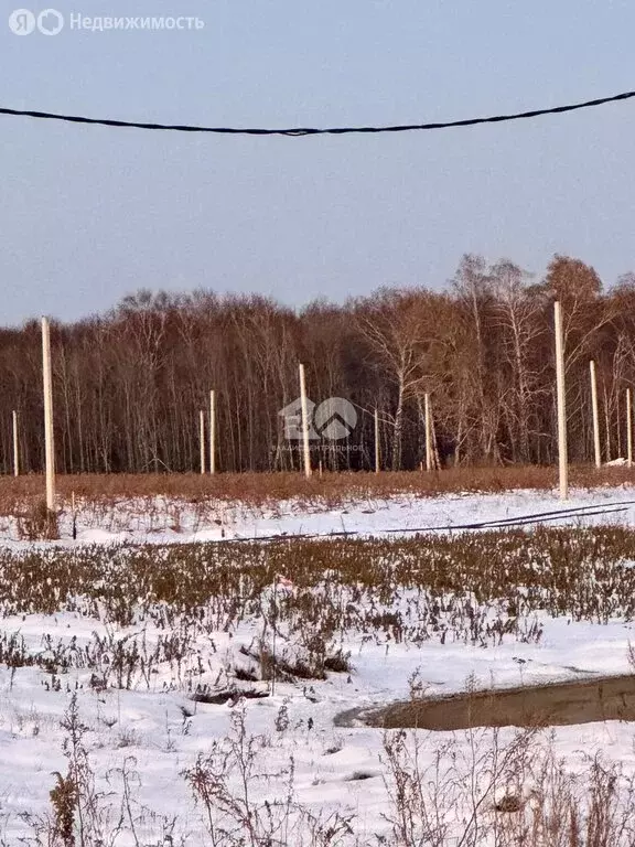 Участок в Барлакский сельсовет, территория ТСН Времена года, ... - Фото 1
