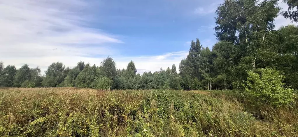 Участок в Псковская область, Куньинский муниципальный округ, д. Курово ... - Фото 1