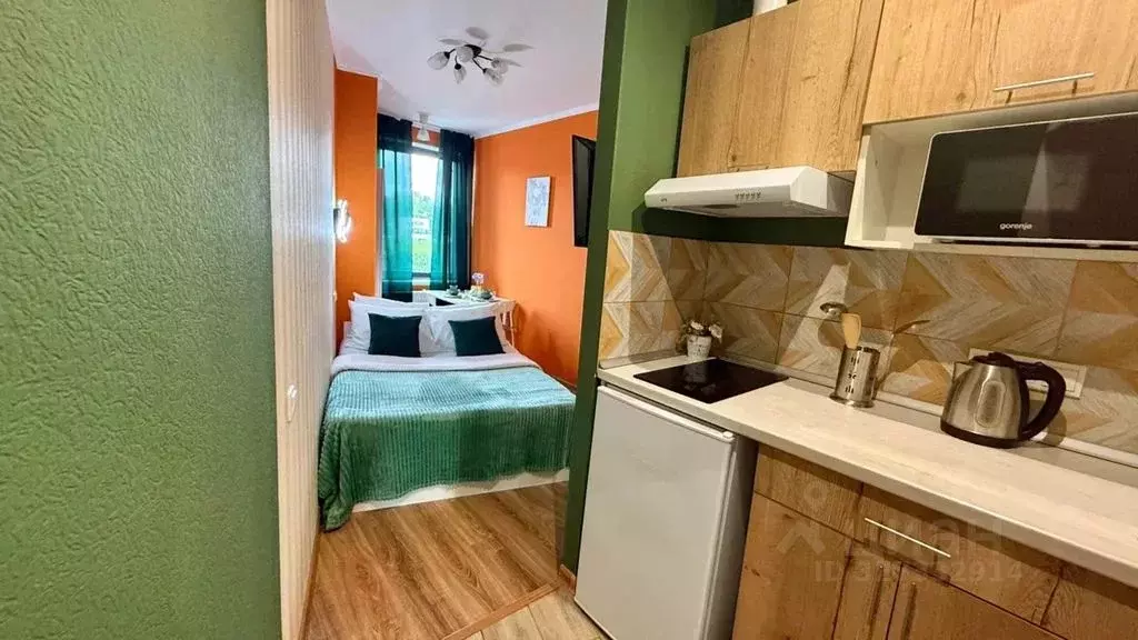 Студия Московская область, Мытищи городской округ, д. Грибки ул. ... - Фото 1