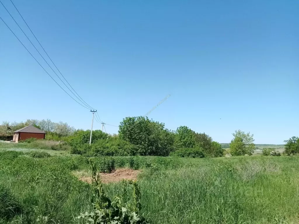 Участок в Ростовская область, Неклиновский район, с. Николаевка ул. ... - Фото 1