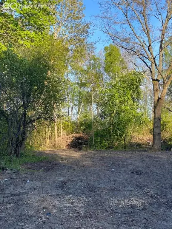 Участок в Балтийск, СНТ Клубничка (6.23 м) - Фото 2