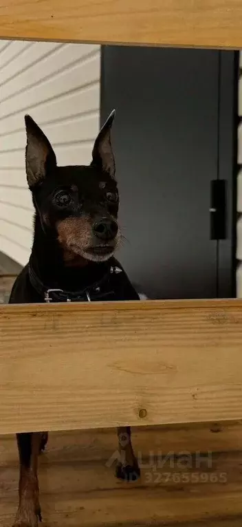 Дом в Ленинградская область, Гатчинский муниципальный округ, д. Горки ... - Фото 1