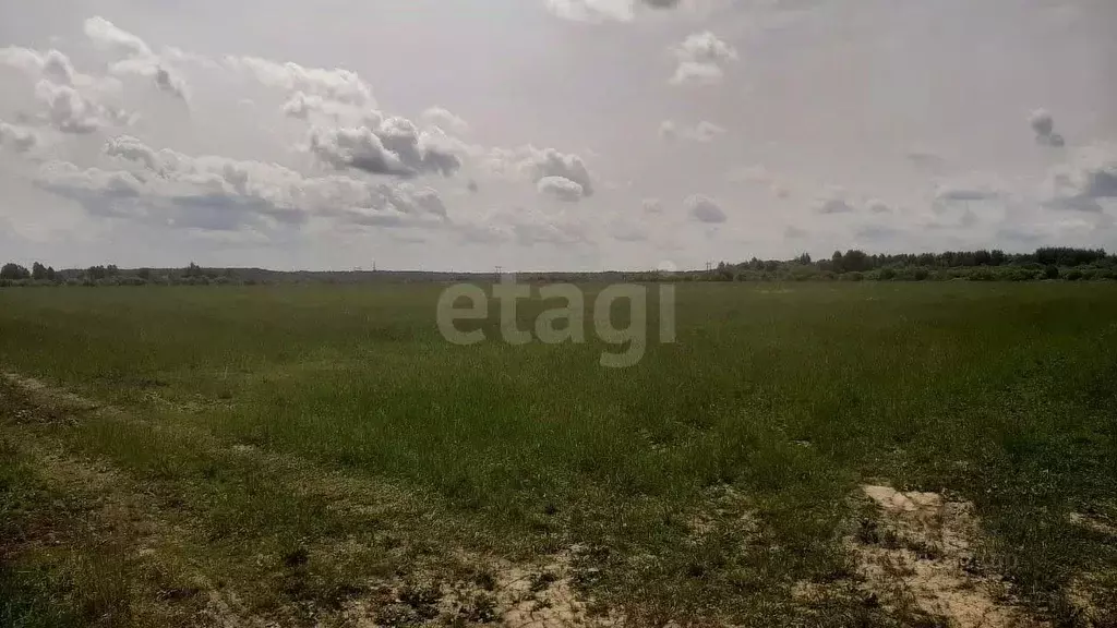 Участок в Ленинградская область, Тосненский район, Трубникоборское ... - Фото 0