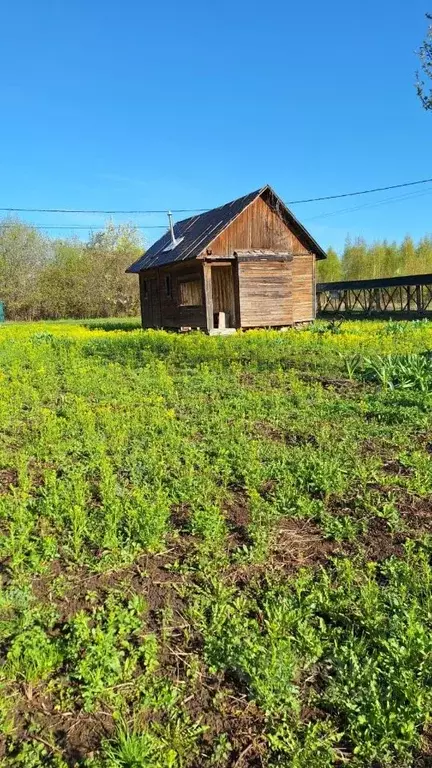 Участок в Московская область, Ступино городской округ, Стекло СНТ 40 ... - Фото 0