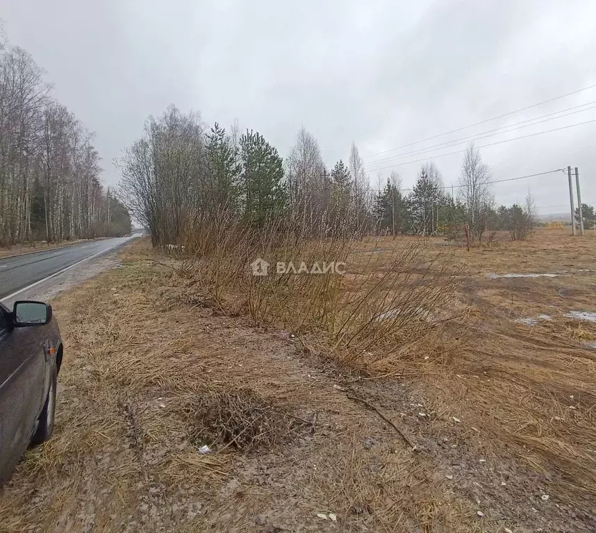 Участок в Владимирская область, Судогодский муниципальный округ, с. ... - Фото 2