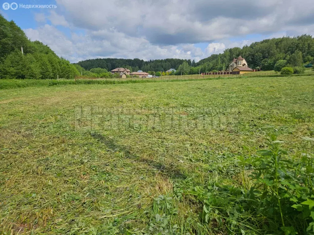 Участок в деревня Боровая, 1-я улица (25 м) - Фото 1