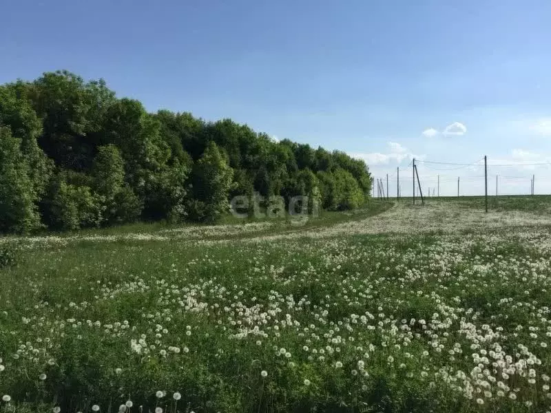 Участок в Татарстан, Тукаевский район, Биюрганское с/пос, д. Кулушево  ... - Фото 1