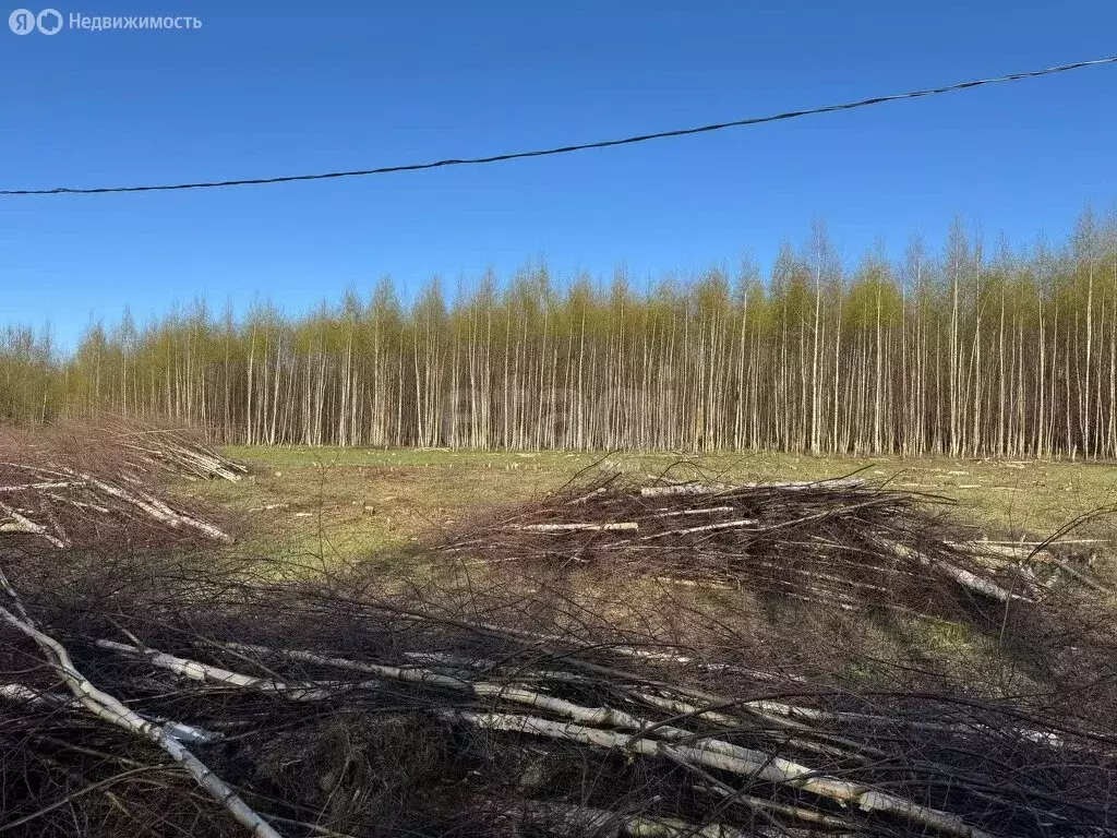 Участок в Костромской район, Караваевское сельское поселение, СТ ... - Фото 1