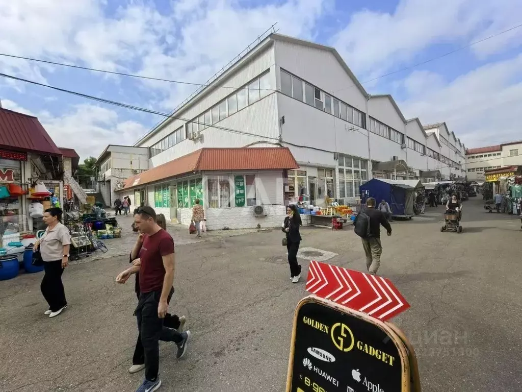 Помещение свободного назначения в Краснодарский край, Новороссийск ул. ... - Фото 1