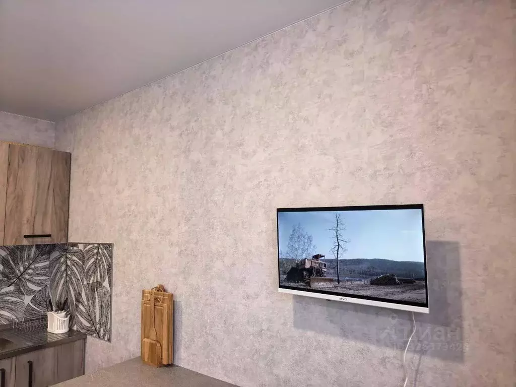 Студия Московская область, Дмитровский муниципальный округ, пос. ... - Фото 1