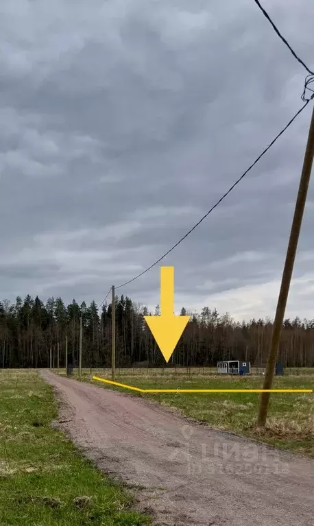 Участок в Ленинградская область, Выборгский район, Красносельское ... - Фото 1