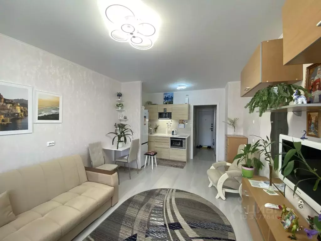 Студия Санкт-Петербург Богатырский просп., 58к3 (26.8 м) - Фото 1