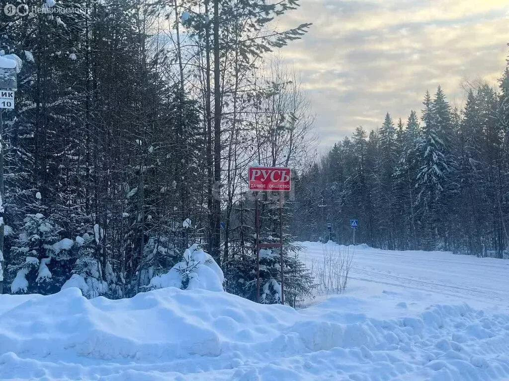 Участок в село Выльгорт, садово-дачное товарищество Русь (10.2 м) - Фото 0