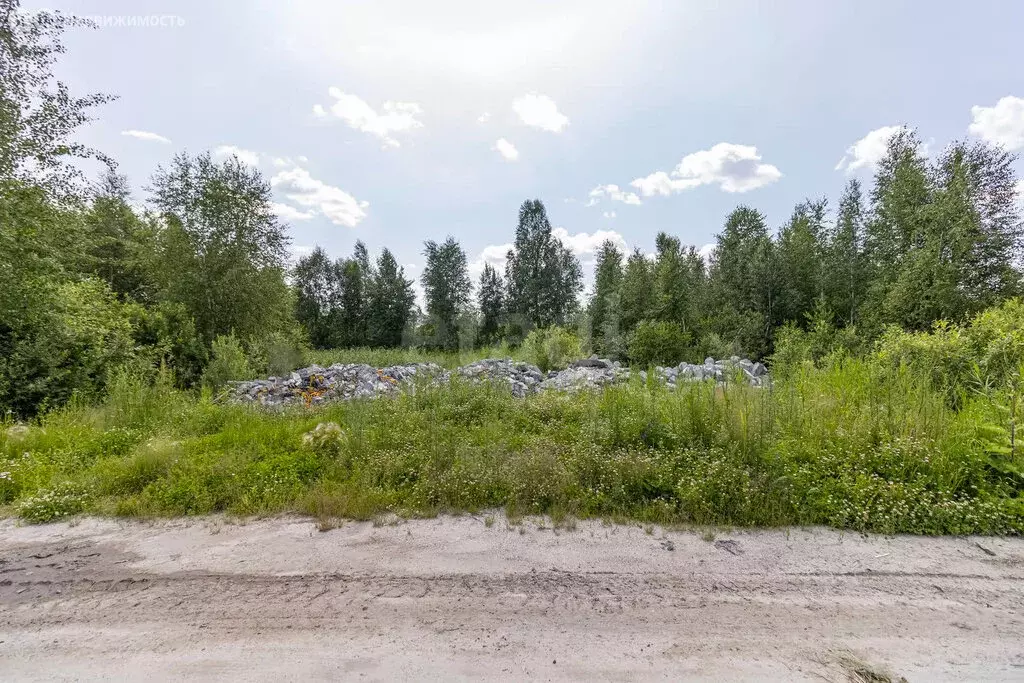 Участок в Тюмень, территория СОСН Берёзка-3, 9-я улица (8.35 м) - Фото 2