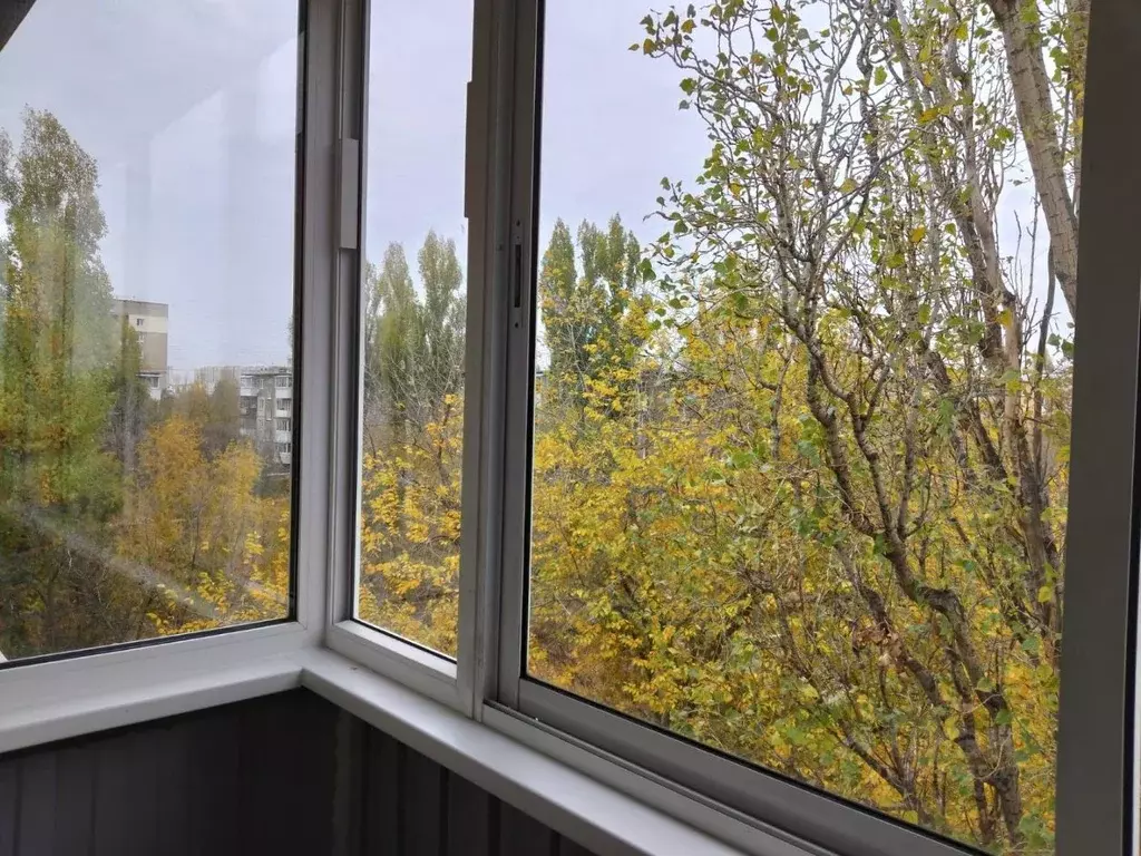 1-к кв. Саратовская область, Саратов ул. Имени В.И. Чемодурова, 3 ... - Фото 1