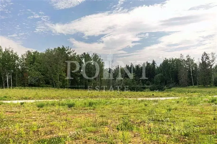 Участок в Московская область, Истра муниципальный округ, с. Павловская ... - Фото 2