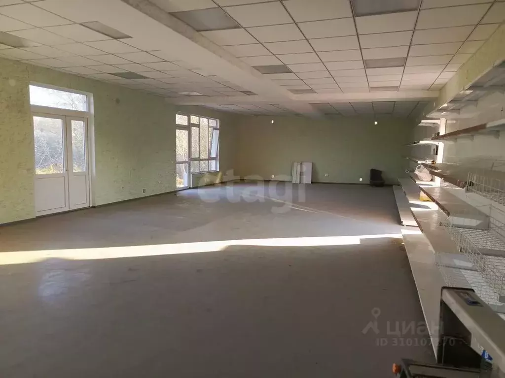 Торговая площадь в Крым, Сакский район, Ореховское с/пос, с. Червоное ... - Фото 1