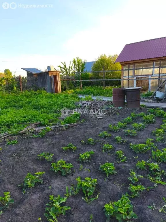 Дом в Бийск, СНТ Текстильщик-1, 141 (28 м) - Фото 1
