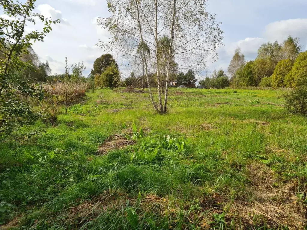 Участок в Владимирская область, Александровский муниципальный округ, ... - Фото 1