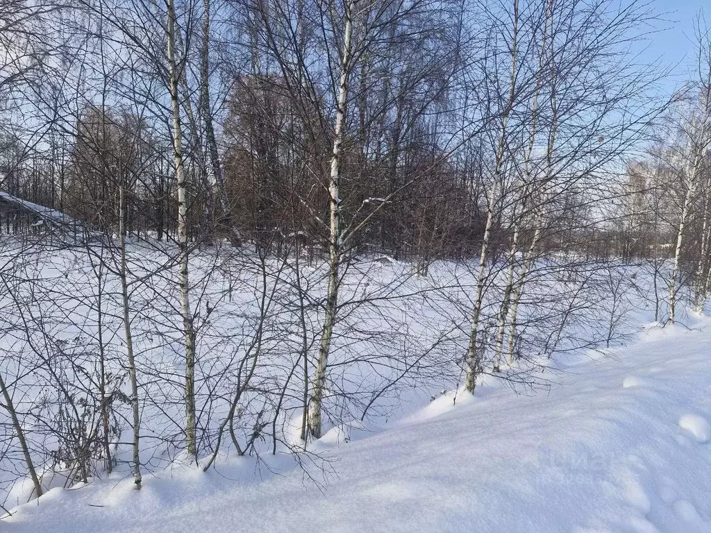 Участок в Московская область, Ступино городской округ, д. ... - Фото 2