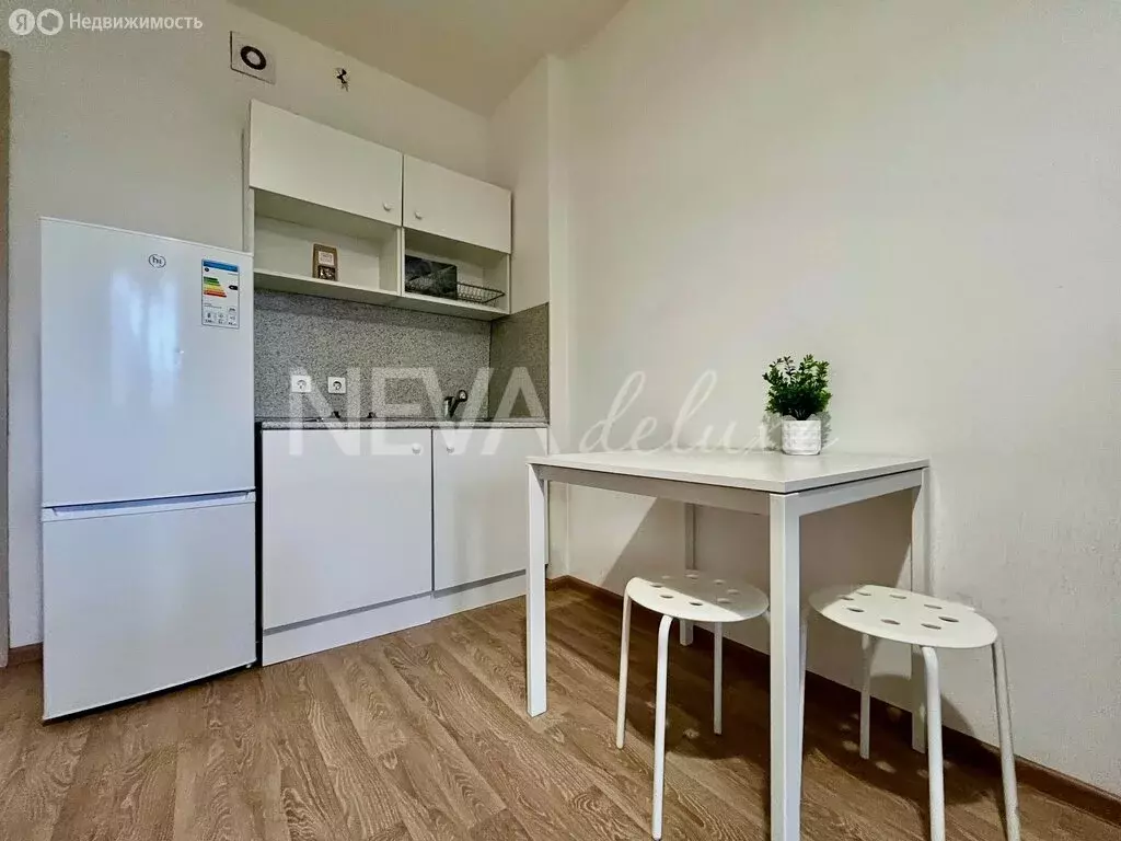 Квартира-студия: Санкт-Петербург, проспект Ветеранов, 171к5 (25.5 м) - Фото 2