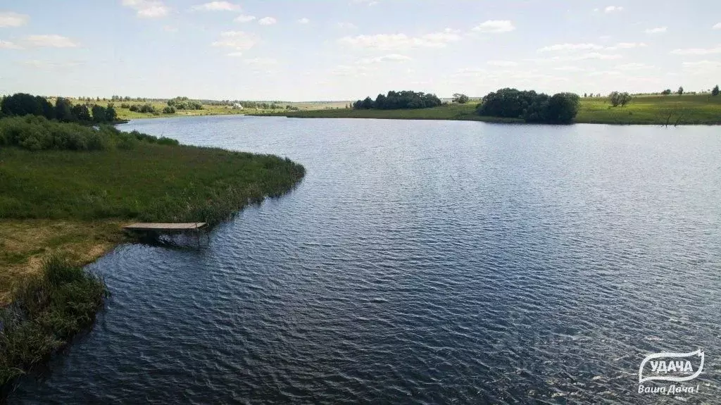 Участок в Тульская область, Ясногорский район, Теляковское с/пос, д. ... - Фото 2