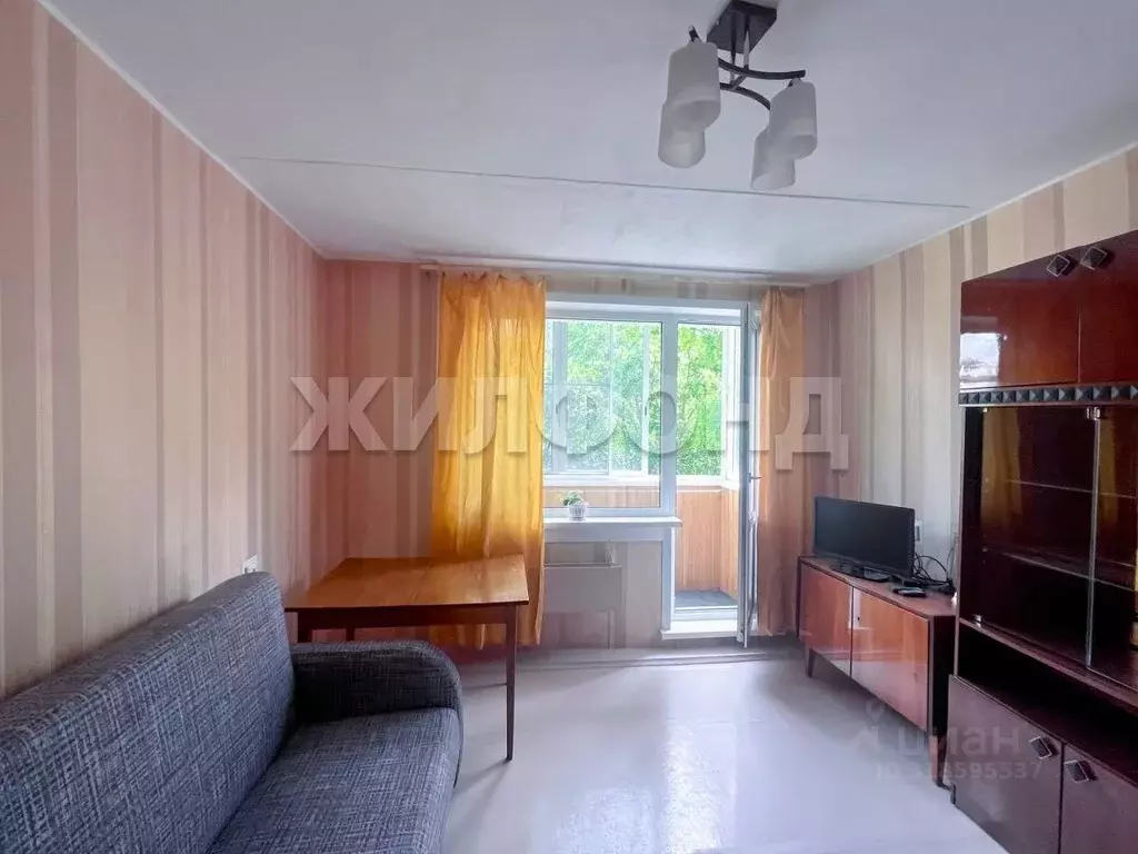 1-к кв. Новосибирская область, Новосибирск ул. Блюхера, 17/3 (27.9 м) - Фото 0