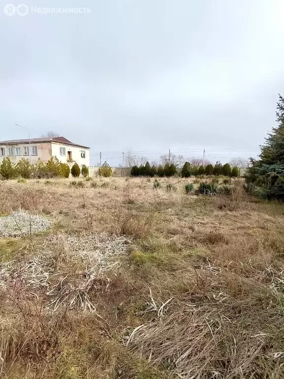 Участок в Литвиненково, Житомирская улица (7.72 м) - Фото 1