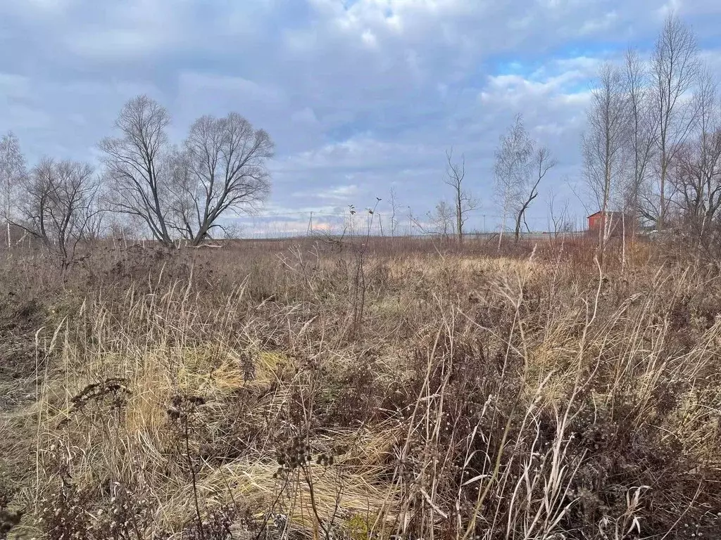 Участок в Московская область, Воскресенск городской округ, с. Карпово  ... - Фото 0