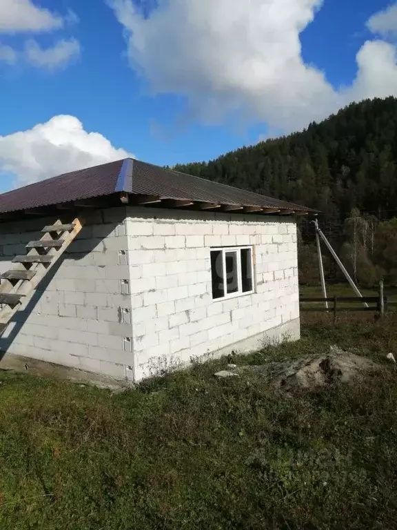 Дом в Алтай, Майминский район, с. Бирюля Окаинская ул. (59 м) - Фото 1