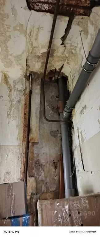 Помещение свободного назначения в Пермский край, Березники Парковая ... - Фото 2