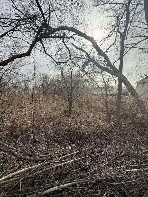 Участок в Приморский край, Артемовский городской округ, с. Кневичи ул. ... - Фото 0