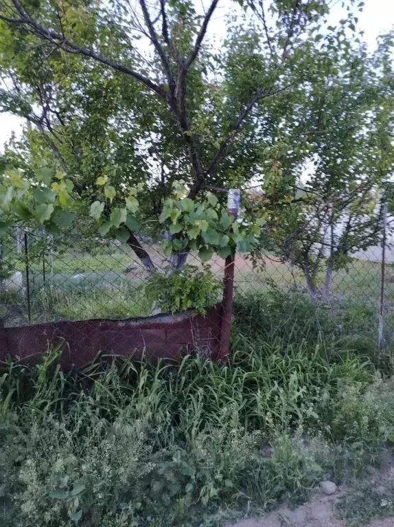 Дом в Волгоградская область, Среднеахтубинский район, Красное с/пос, ... - Фото 1