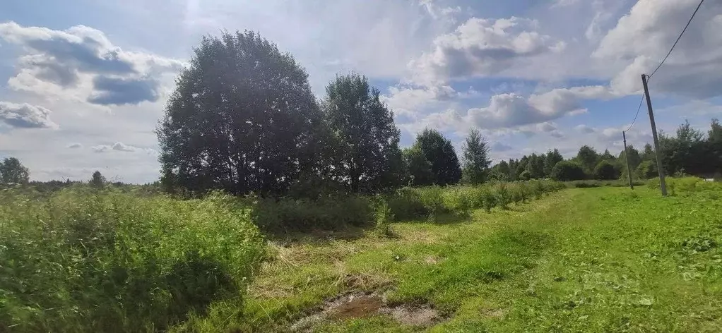 Участок в Московская область, Талдомский городской округ, д. Ябдино  ... - Фото 0