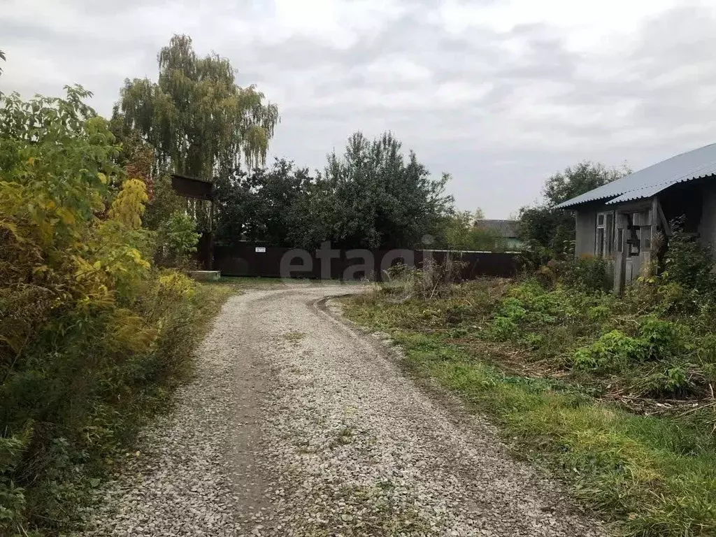 Участок в Брянская область, Брянский район, Снежское с/пос, пос. ... - Фото 1