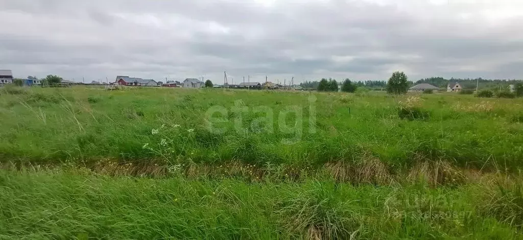Участок в Вологодская область, Шекснинский муниципальный округ, д. ... - Фото 0