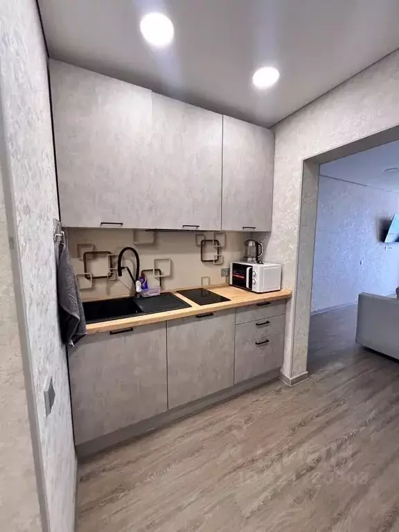 Студия Краснодарский край, Сочи ул. Ленина, 298Бк5 (35.0 м) - Фото 2