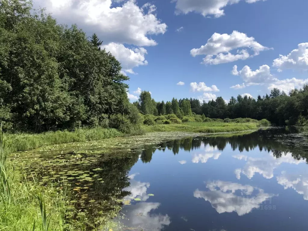 Участок в Псковская область, Псковский район, д. Торошино  (7.4 сот.) - Фото 0